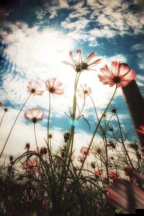 欧式春画图片大全欣赏：简单而美丽的艺术形式