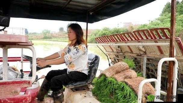 耕种姐姐肥沃土地的别样体验