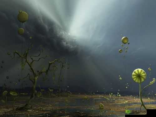 秘密通道 3 秒自动载入：带你进入未知世界