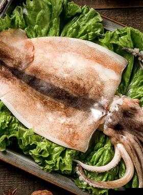 鱿鱼 b2577 直接进入人事局：是捷径还是歧途？