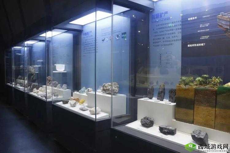 蘑菇头顶开花缝：探索自然的奇妙之处