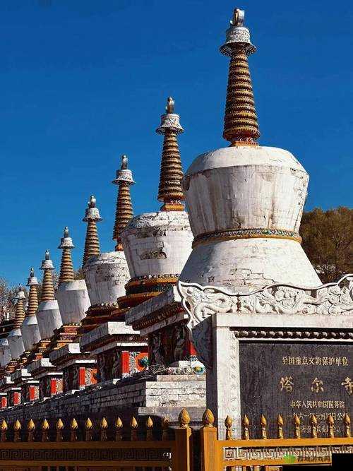 99 国精产品：领略各国精品之美