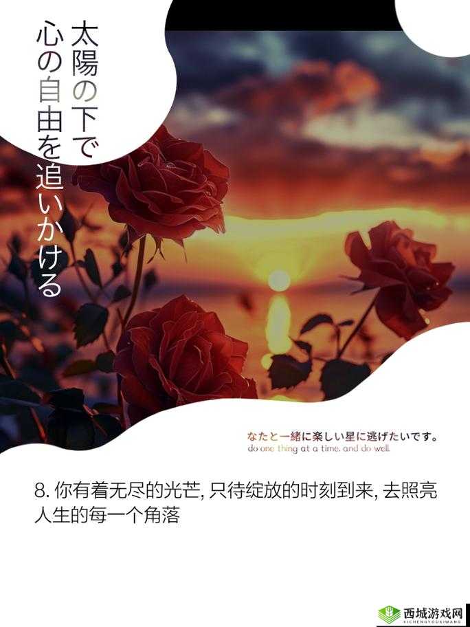 愿你沦为照亮世界的教具