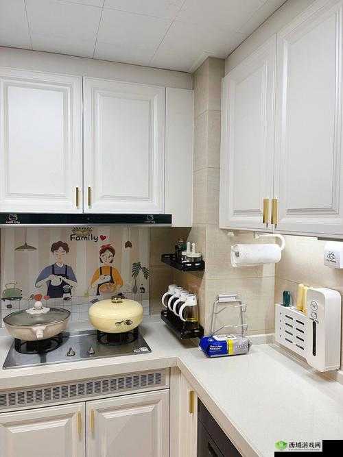 厨房到卧室清洁小妙招:让家更舒适的实用技巧