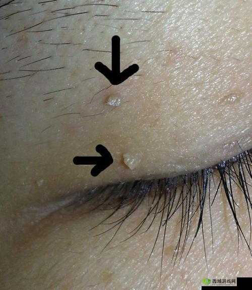 每天醒来都在汆肉中：这是怎么回事