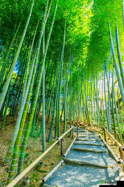 可以进你的后花园吗：探索神秘之地