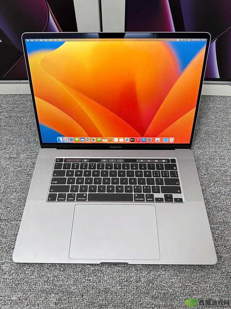 16 岁日本学生的 MacBook Pro
