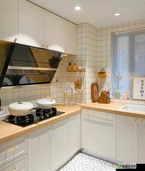 从厨房一路干到客厅好吗：探究家居清洁之旅