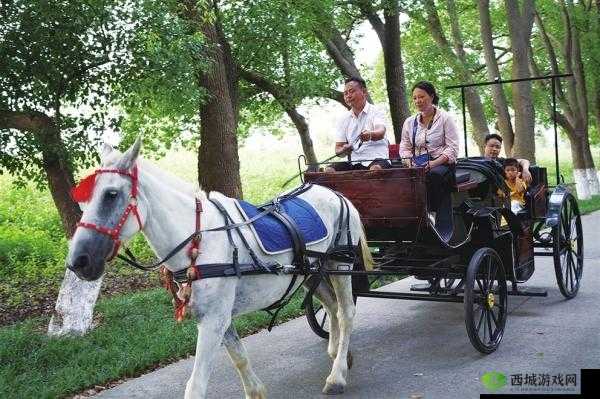 马车上的欢乐:一段难忘之旅