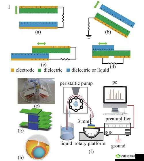 丰年经继拇 3 机能量发展探讨