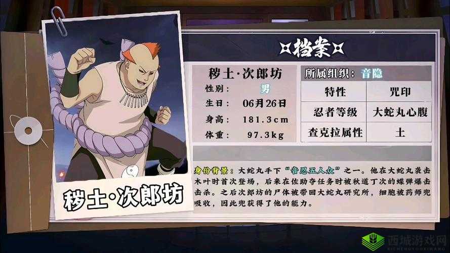 火影忍者手游次廊坊实力剖析：究竟如何全面解读