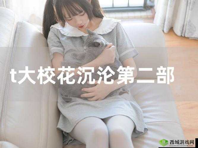 t 大校花的悲和泪最火的一句:那些年的爱恨情仇