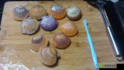 一人㖭上面㖭下感扇贝的奇妙体验