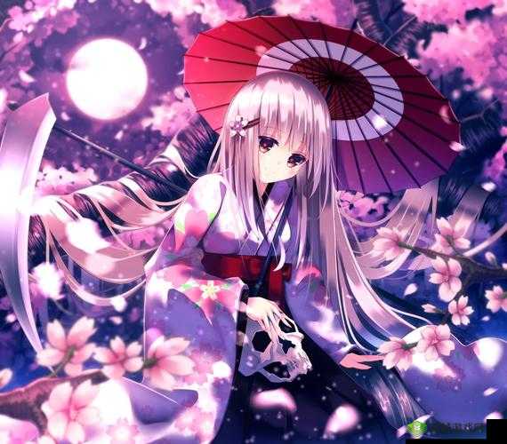 樱花动漫次元喵：精彩内容等你发现