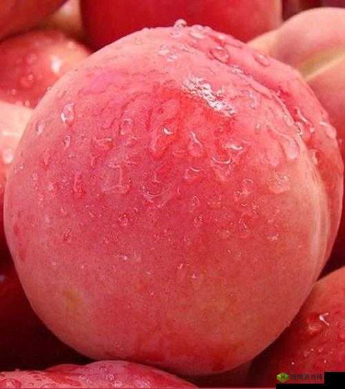 欧产日产国色天香水蜜桃：新鲜诱人的美味之选