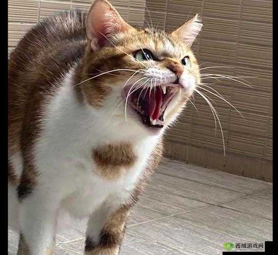 张开嘴巴吸进空气:畅享自然气息