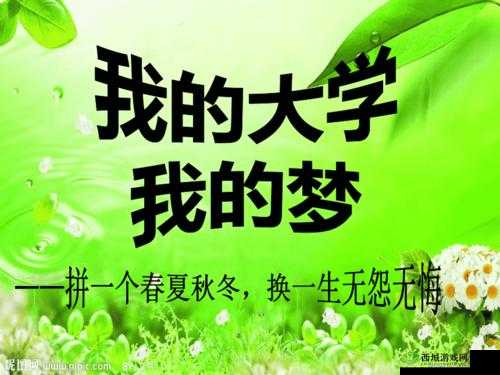 我的大学生活:青春岁月里的成长与梦想