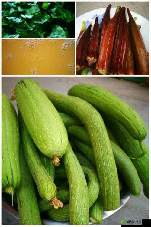 香蕉菠萝水蜜桃黄瓜丝瓜秋葵的奇妙组合