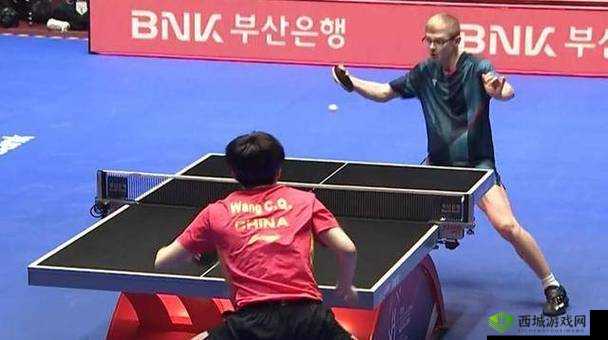 四叔日常 1V2：精彩对决现场