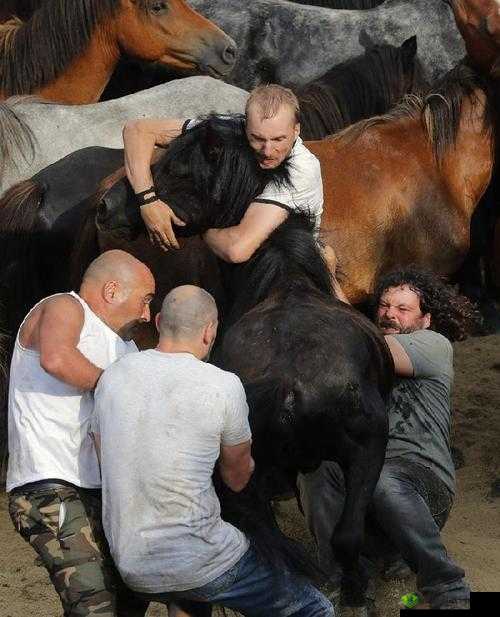 人马大战 CRM ：激烈交锋的战场