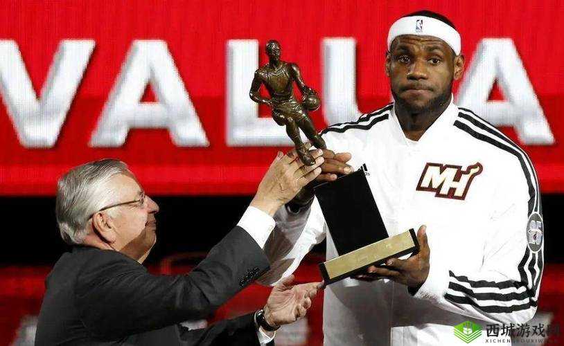 未得赛季MVP称号的杰出选手风采