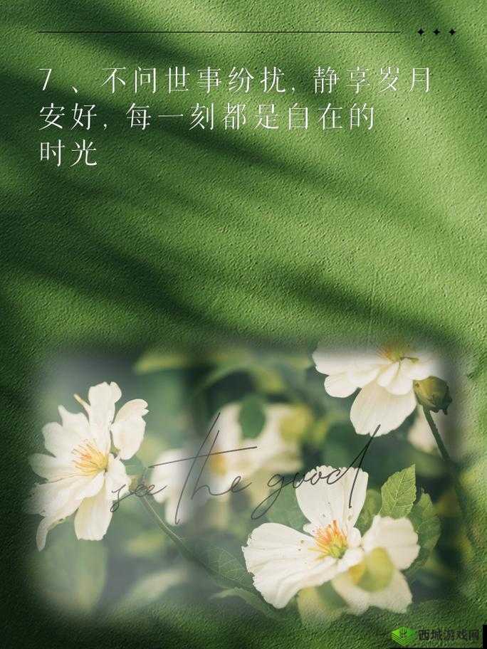 轻松享受两种美好时光:惬意时光尽情享