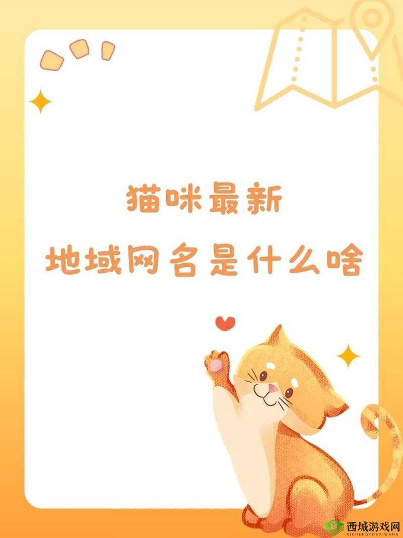 猫咪 MV 最新地域网名怎么取：创意大揭秘