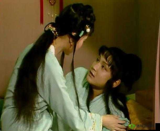 贾政令宝钗扶着树干:一段别样的故事