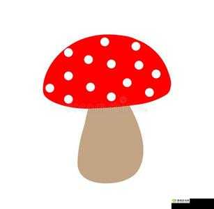 蘑菇视频红色 logo：点亮你的视界