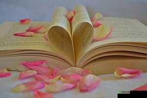 获得超级胬肉系统,开启奇幻旅程