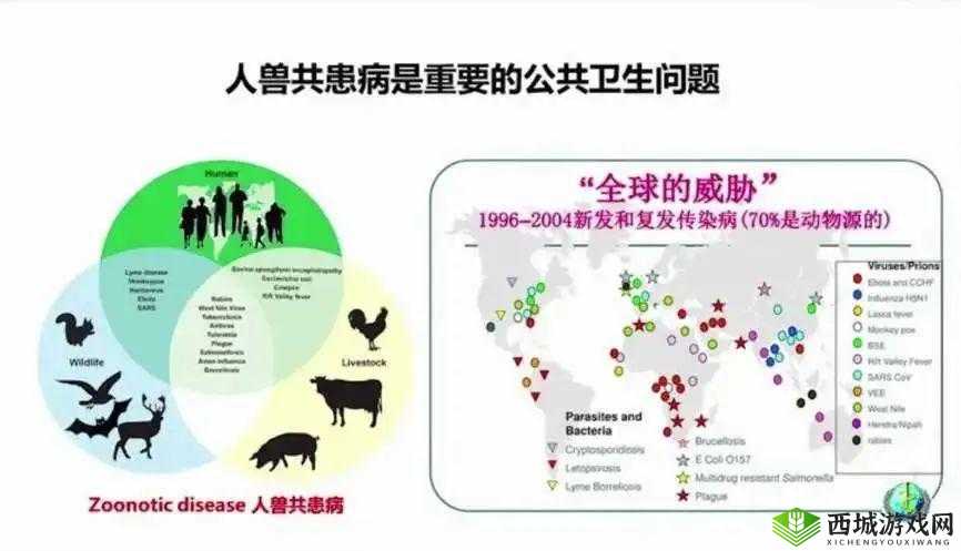 人与畜禽交互：和谐共处的探索