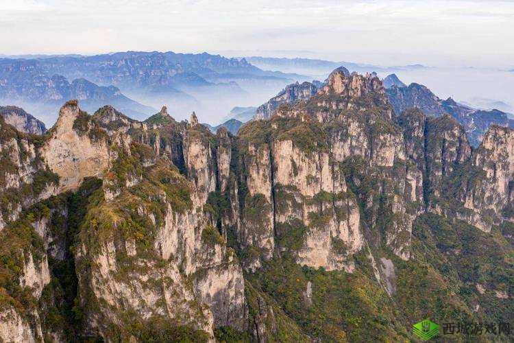 大地资源免费视频观看:超多精彩等你看