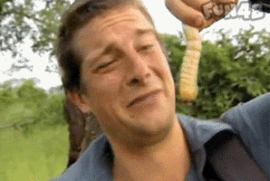 洗手间截了一段小视频食物链：引人深思的片段