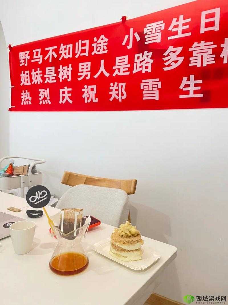 老公生日：3Q，花落归途