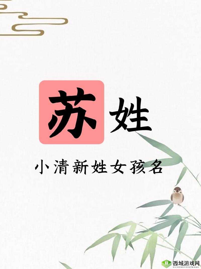 1v3 兄妹苏姓的奇妙故事