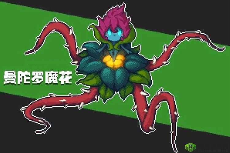 元气骑士曼陀罗花精灵：实力与魅力的完美结合，属性览