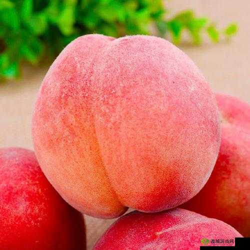 国精产品水蜜桃 hd 优质水蜜桃的独特魅力