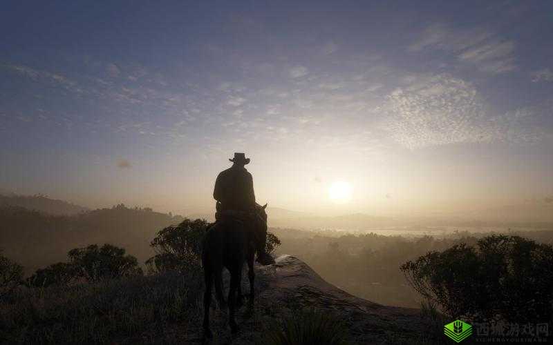 公园里的老年镖客视频大全：情怀不再，镖客已远去