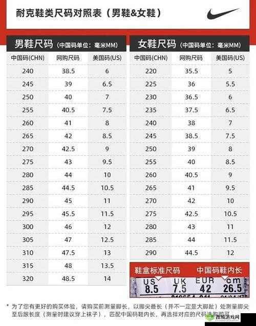 Zoom 与人性 Zoom1 区别：深度剖析之谈