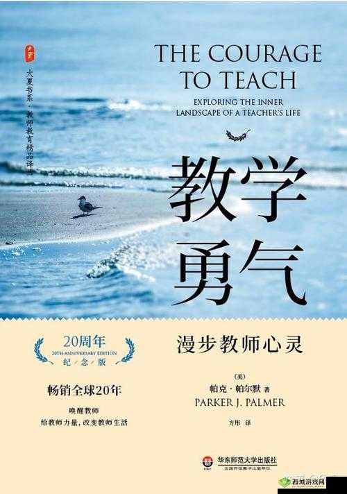 JAVAPARSER 教师 HD :精彩教学之旅