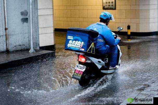 扦插 BB 好处促全球文化交流共享