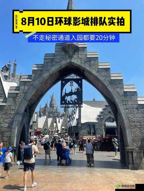 M78 秘密通道免费开放后人数暴涨：引发广泛关注