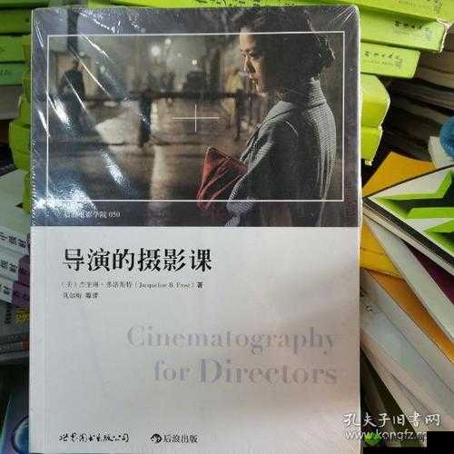 导演的摄影课 hl：摄影艺术的奥秘