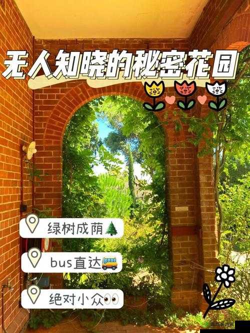 手一路下滑探寻神秘秘密花园