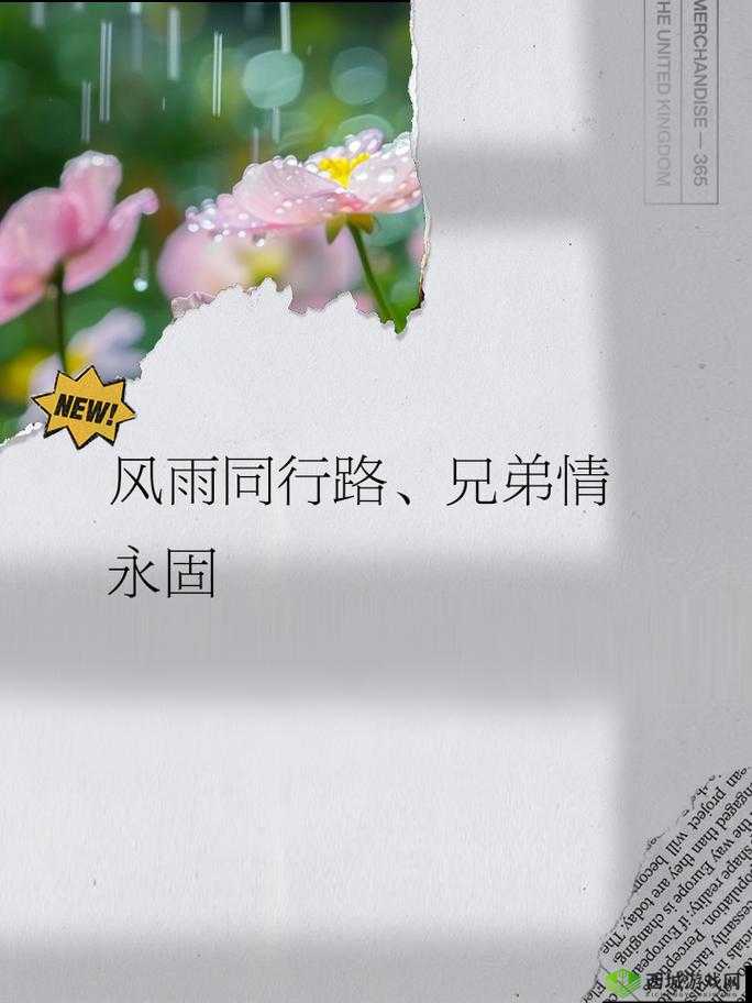 4ph 兄弟默契：携手共进创辉煌