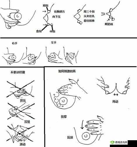 以后挤牛奶拔萝卜怎么拔:技巧分享