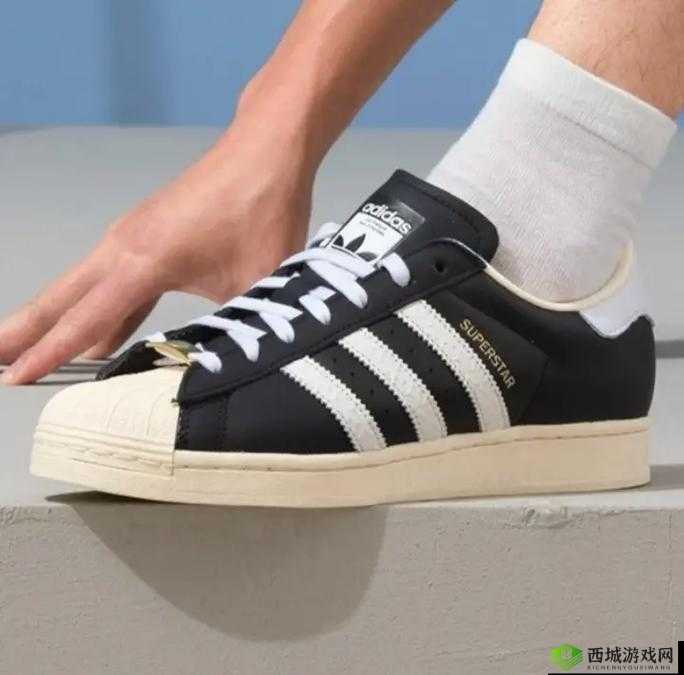 三叶草欧洲码在线：时尚潮流的聚集地