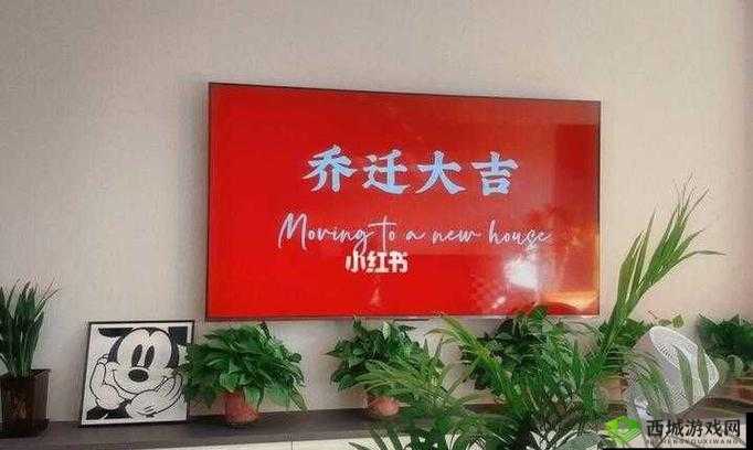 吴梦梦婚礼伴郎试车搬家啦