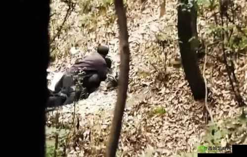 53 岁大妈山坡做皮肉买卖原因为何