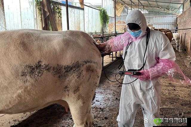 ZOOMSERVO 兽狗产品优势:创新与卓越品质的结合